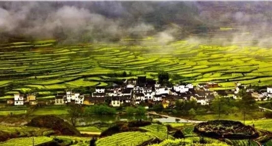 151012210.jpg 2.webp.jpg