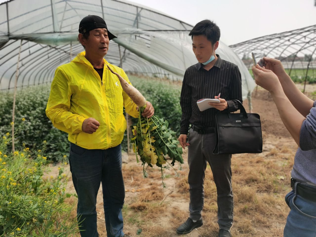 155352408.jpg 155352408.jpg