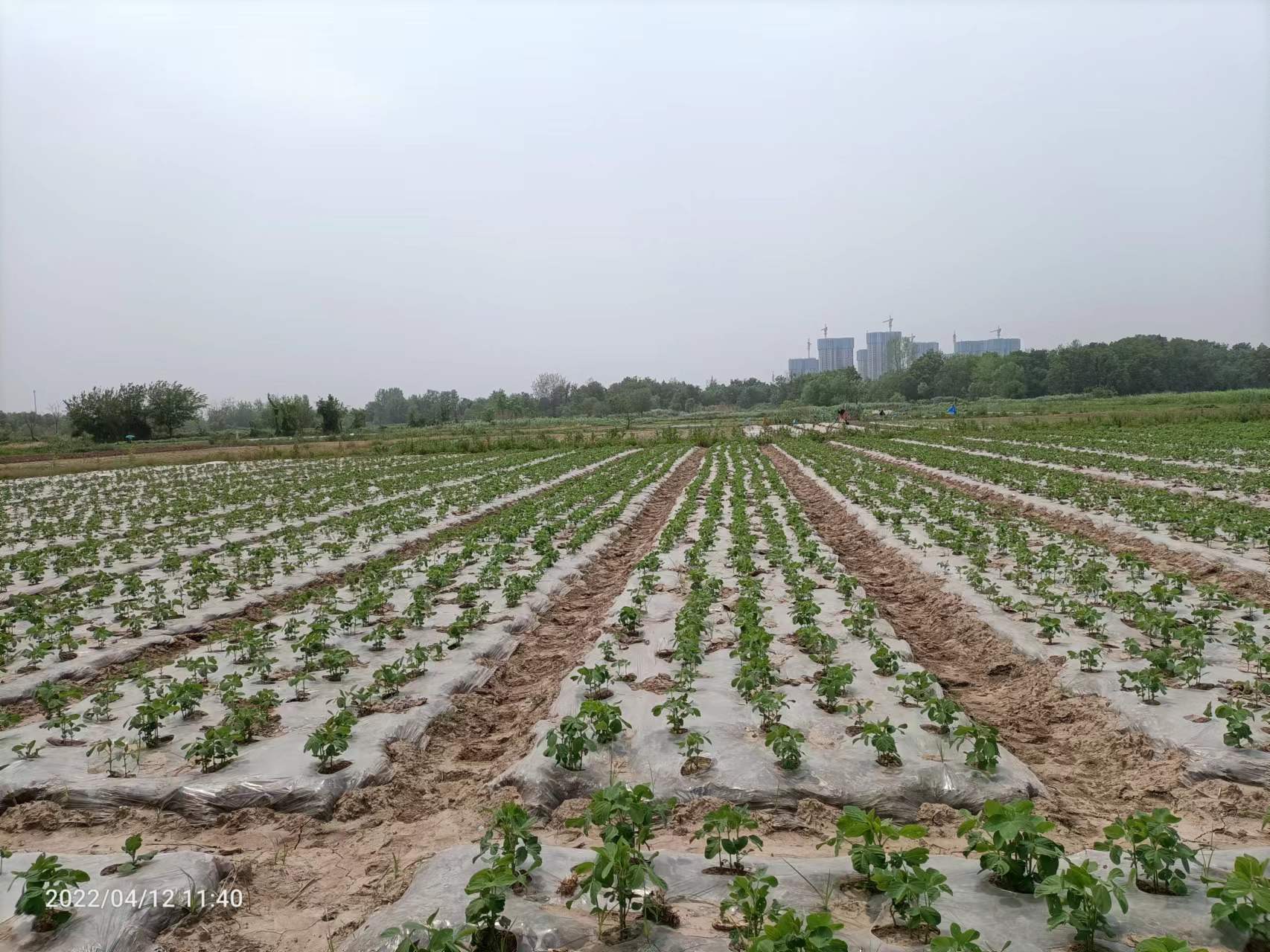 160742925.jpg 160742925.jpg